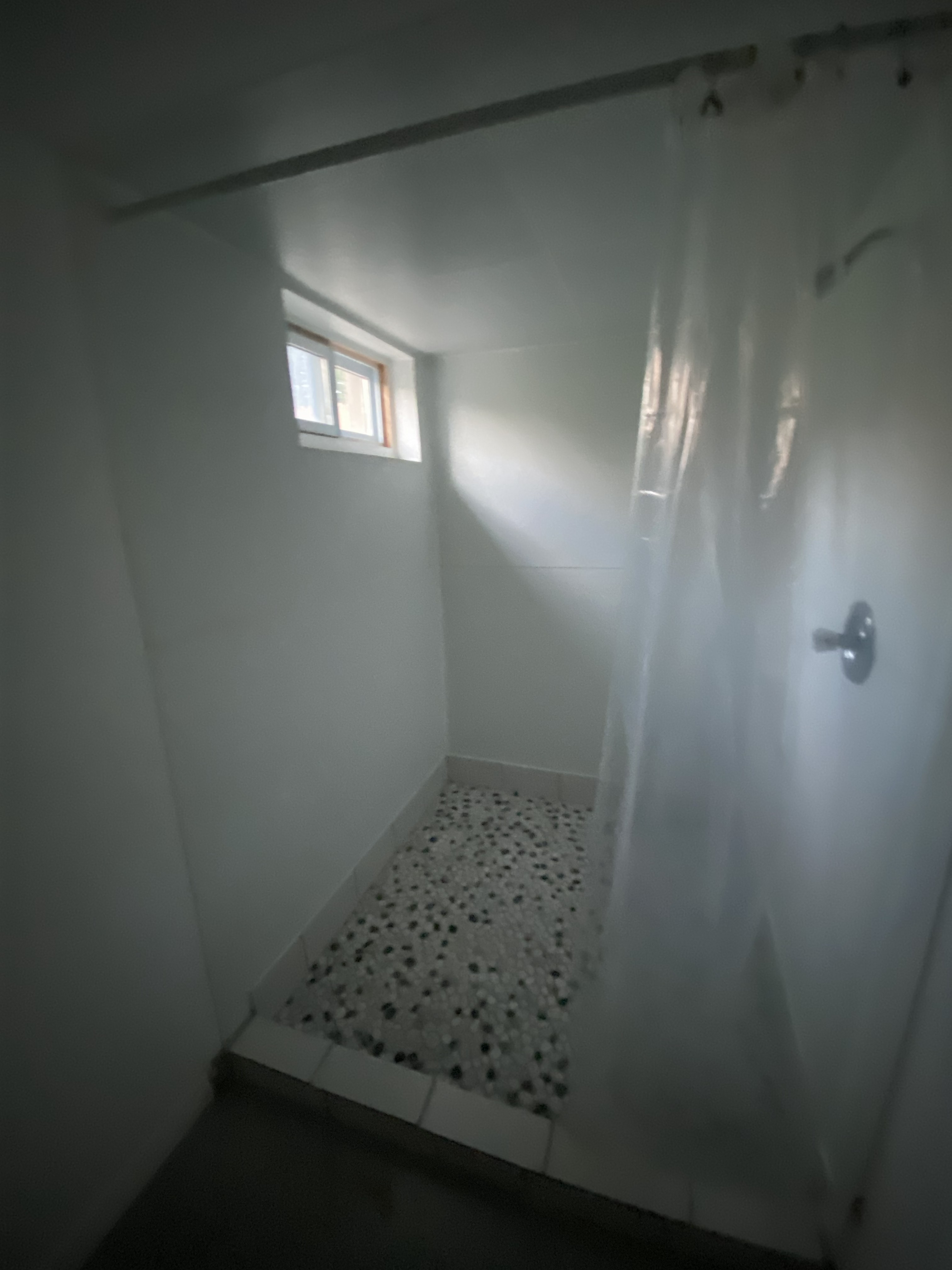 Basement Bathroom Before